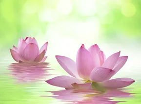 Schwangerschaftsmassage Schwangerschaftsmassage