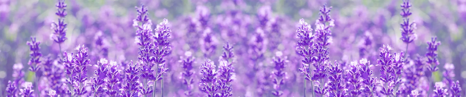 Chronische Erschöpfung und Müdigkeit